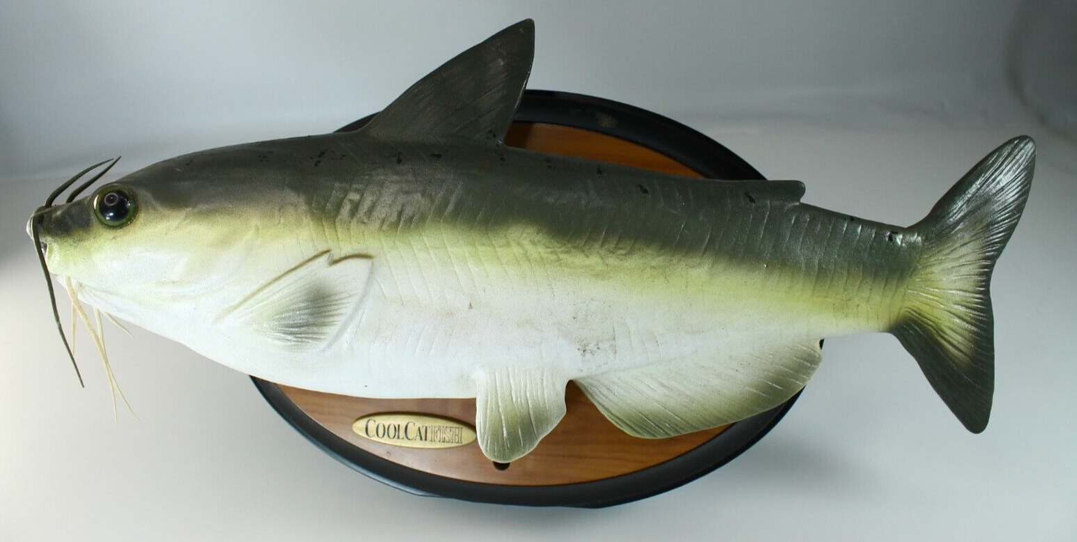 スノーボード 24-25 LIFE RIDDIM OUTERTAINMENT CATFISH Gemmy Cool Catfish Singing Talking Animated Fish AS IS FOR