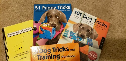 4 AKC Dog Training Books Trick Obedience Tracking Puppy Tricks Kyra Sundance