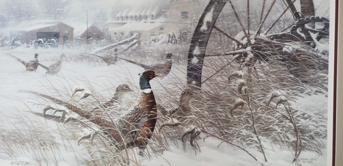 Prairie Blizzard Pheasant Picture