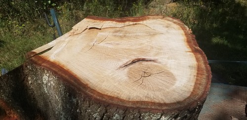 live edge wood slab round Tree Slice Table Top large heavy thick Slab with bark