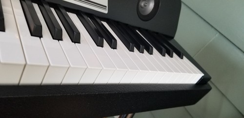 Waldorf Zarenbourg Electric Piano