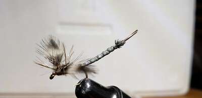 taille 14 BH Bead Head Minuit Pheasant Tail Nymph Fly Fishing Flies 2 mouches