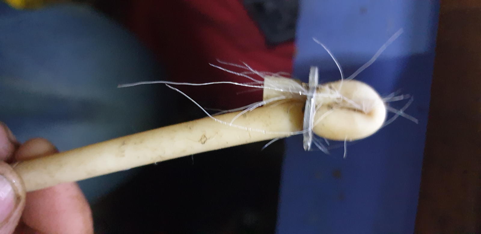 California Bander Castrator Cattle Starter Kit 50 Bands & Calf