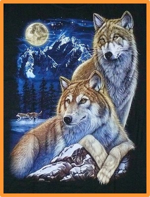 TShirt WolfPaar S,M,L,Western USA Biker Wölfe Mond Indianer Husky Lobo Cowboy