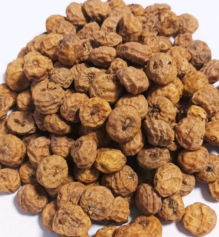 Erdmandel 25 Samen/ Knollen Cyperus Esculentus Hohe KeimfÃ¤Higkeit Tigernuss