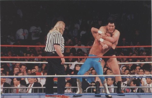 1999 Comic Images WWF WrestleMania Live! - Andre the Giant Big John Studd Jake "The Snake" Roberts #8