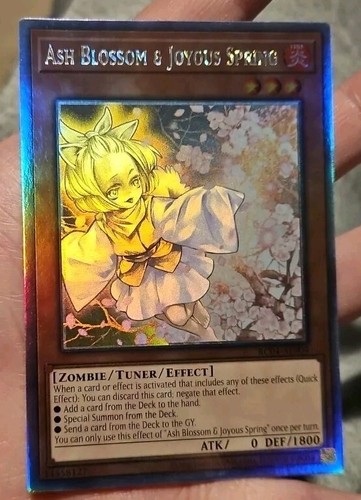 2023 遊戯王 ASH BLSSM/JVS.SPRING RC04グレード10 Yugioh Ash Blossom & Joyous Spring RC04-JP009 Quarter