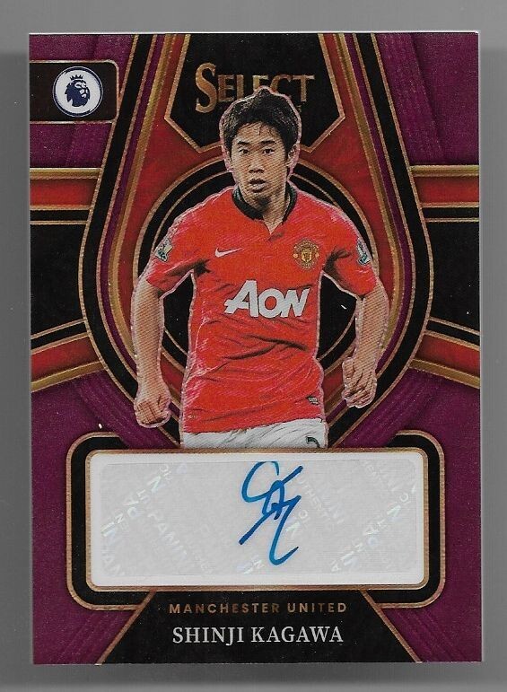 PSA8 2001 J-CARDS #173 朴智星 RC ルーキー