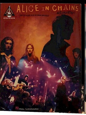 Guitar Alice In Chains