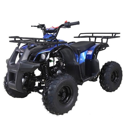 ATV 125cc Youth ATV TAOTAO 125D Utility Quad Kids 4 wheeler FREE SHIP 125CC ATV