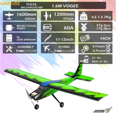 TCG16 Vogee ARF Balsa Wood RC Model Radio Control Airplane Kit 1600mm Wingspan