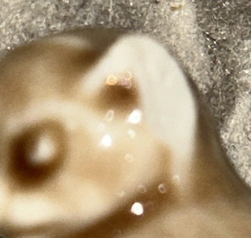 Lot of 14 Wade Whimsies Figurines Mini Figures. All Animals Except 1. See Photos