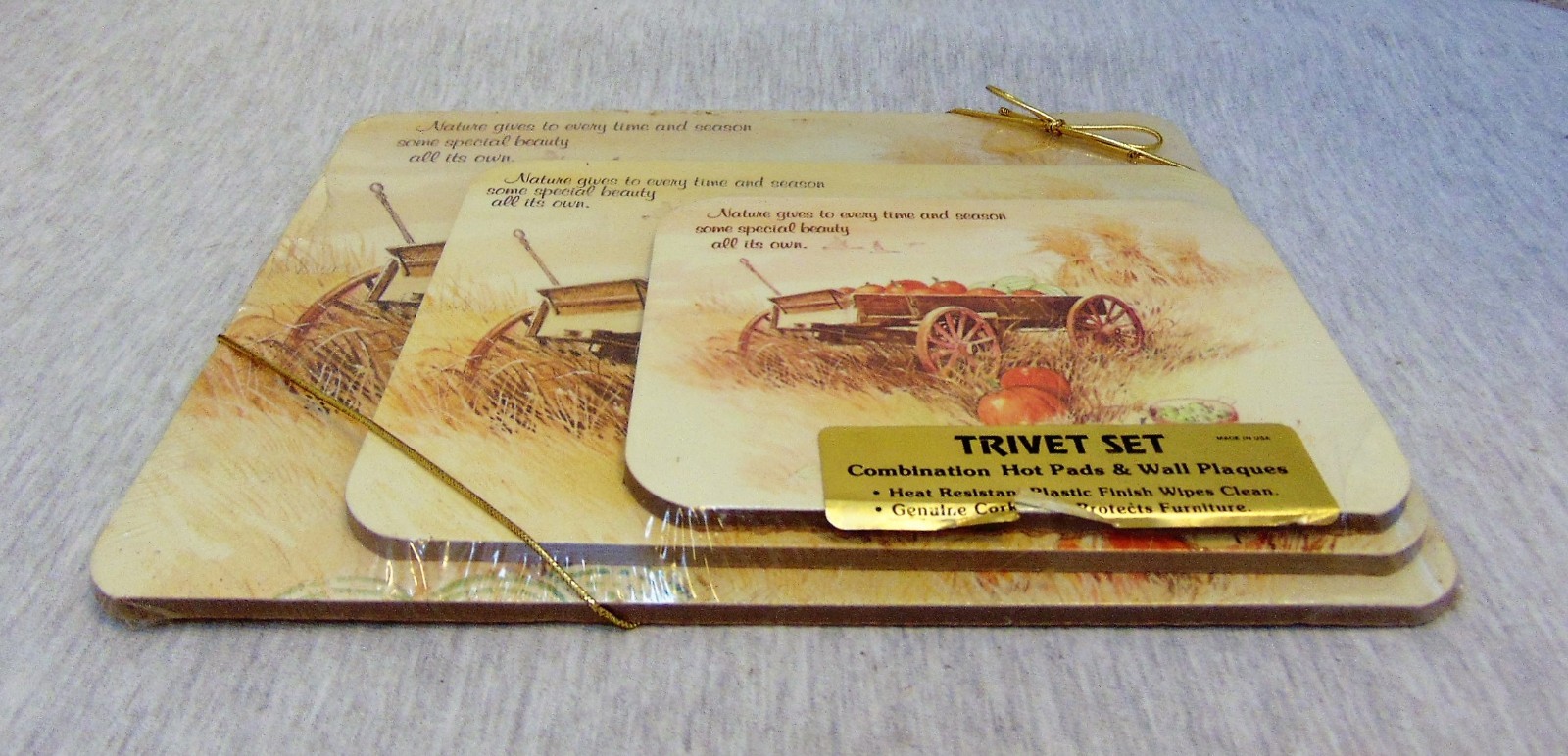 Set of 3 Trivet Different Sizes Fall Harvest Made in USA Cork Back