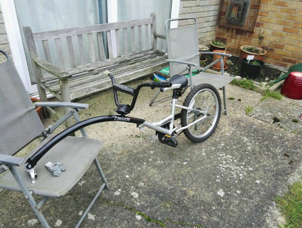 Tag along bike in Hagley, West Midlands Gumtree