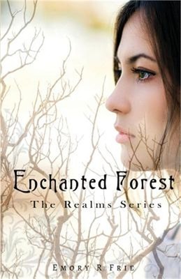 Enchanted Forest (Paperback or Softback)