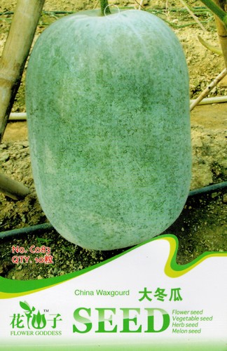 10 original pack seeds big wax gourd seeds white gourd benincasa