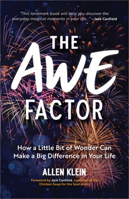 Awe Factor: Embracing Life's Magical Moments (Theories of Humor) (Paperback or S