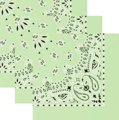 Lot of 3 New Hav-A-Hank 22" Paisley Bandanas 100% Cotton Made In the USA