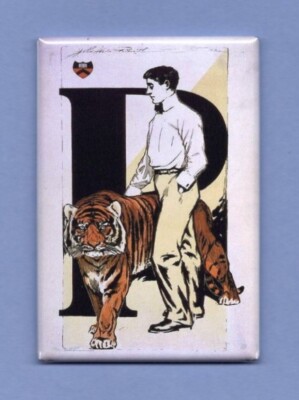 PRINCETON UNIVERSITY *2X3 FRIDGE MAGNET* IVY LEAGUE NEW JERSEY COLLEGE COLONIAL
