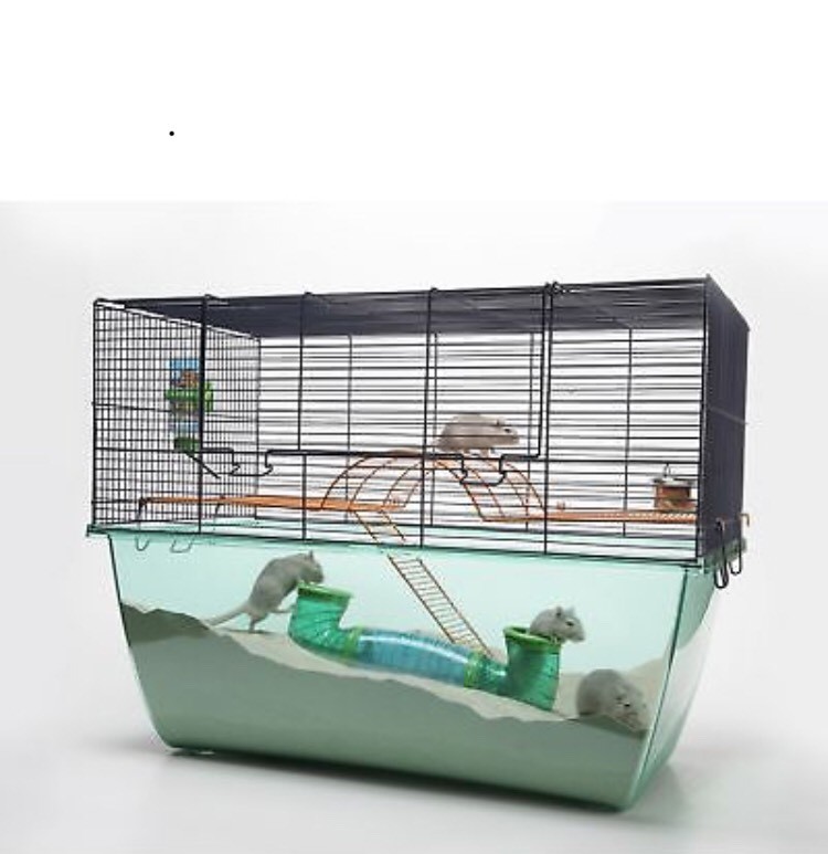 LARGE GERBIL CAGE FOR SALE in Amble, Northumberland Gumtree