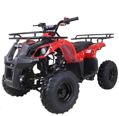 ATV 125cc Youth ATV TAOTAO 125D Utility Quad Kids 4 wheeler FREE SHIP 125CC ATV