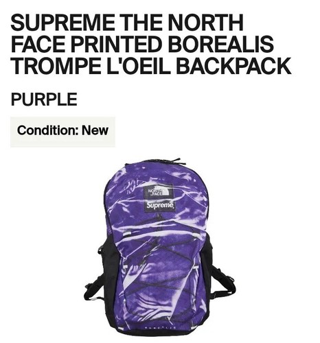 Supreme x The North Face Trompe L'Oeil Printed Borealis