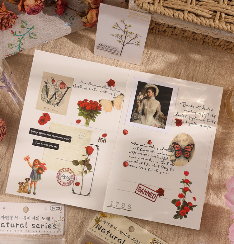 6Pcs Natural Journal Stickers PET Sticker Paper Scrapbooking Material Scrapbook