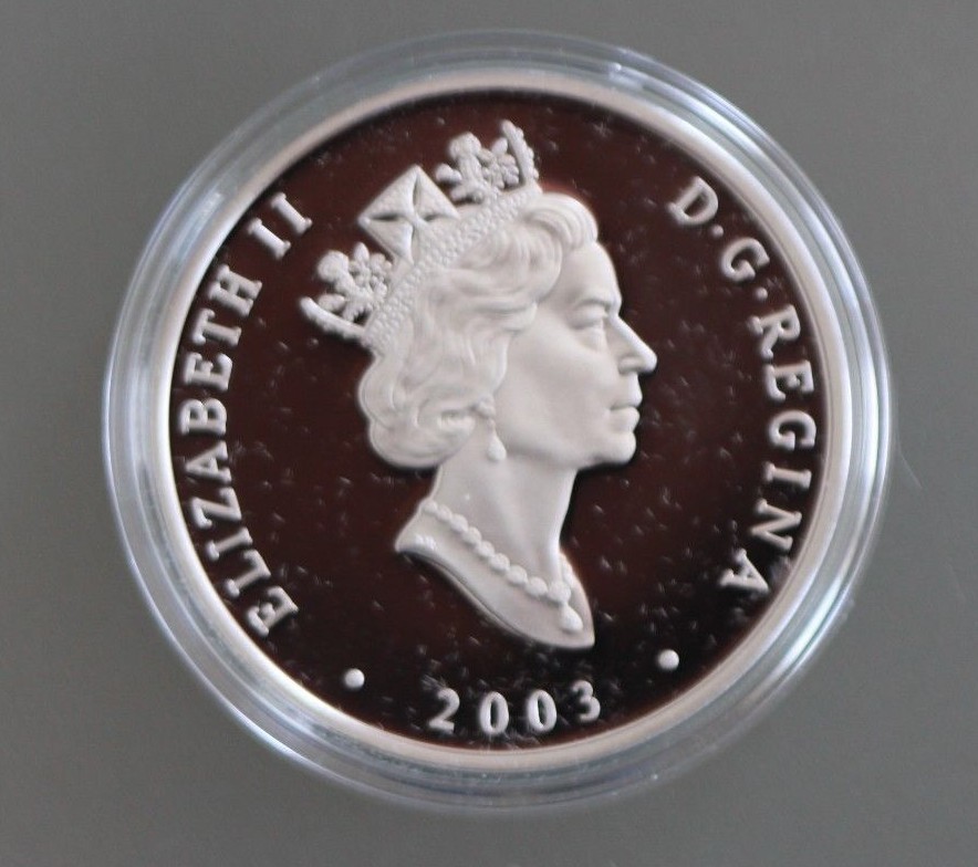 2003 Canada $20 Proof Coin - Niagara Falls