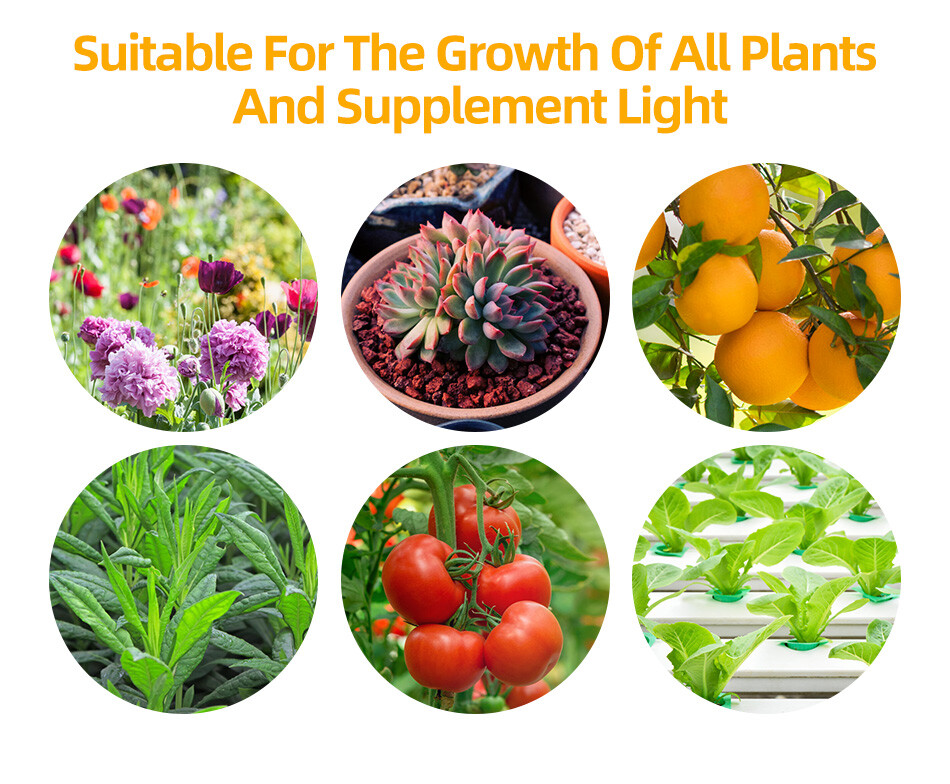 169LED Grow Light Hydroponics Full Spectrum Indoor Plant Flower Bloom Lamp 40W