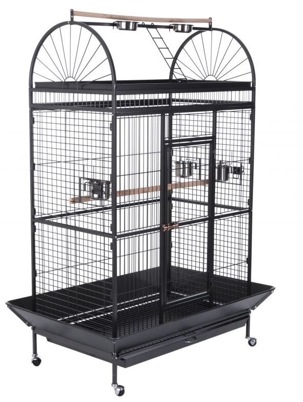 Large parrot Cage with seed catcher in Blackpool, Lancashire Gumtree