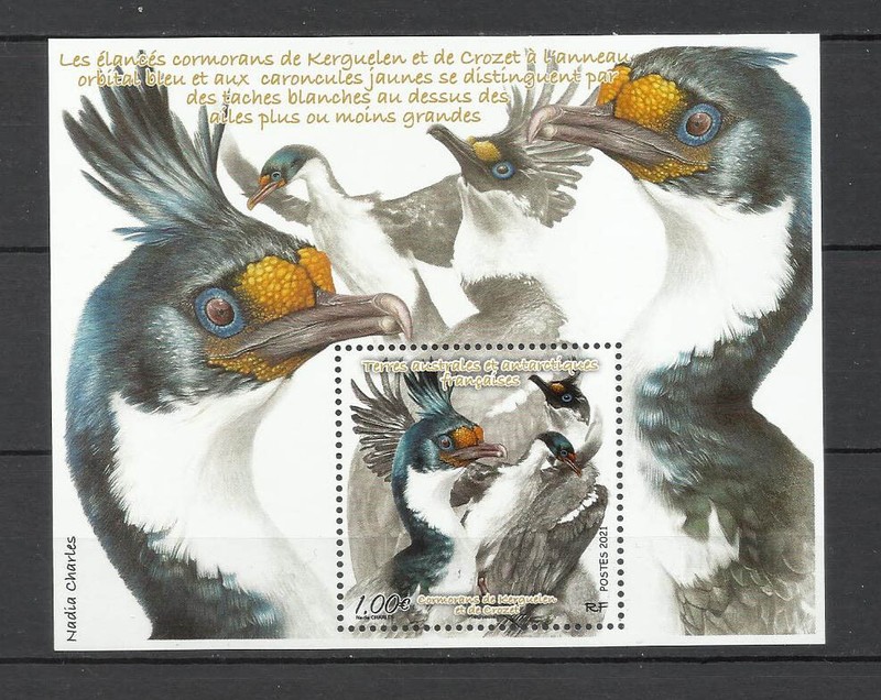 Terres Australes Antartiques FranÃ§Aise Taaf Cormorans Neuf / Mnh