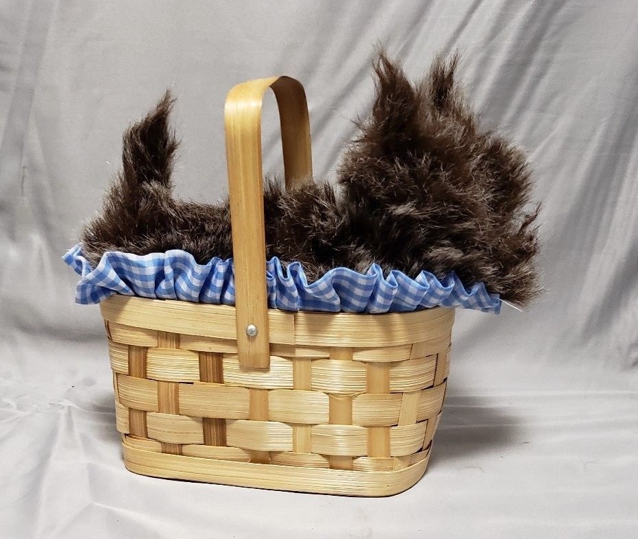Rasta Imposta Doggie Basket 5910 Costume