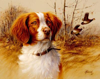 James Killen In the Field Brittany Spaniel S/N Art PRint