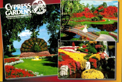 Cypress Gardens Winter Haven Florida's First Theme Park Continental Postcard