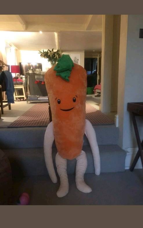 Kevin The Carrot Giant From Aldi In Worcester Worcestershire