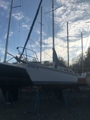 1986 Catalina