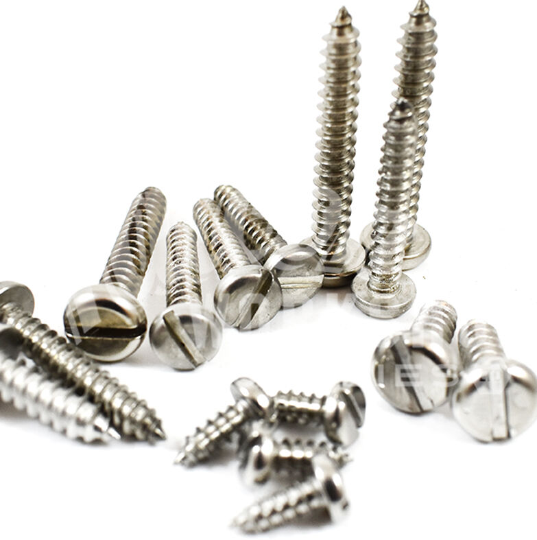 880 ASSORTED PIECE 6g 8g 10g STAINLESS FLANGE POZI PAN SELF TAPPING SCREWS KIT