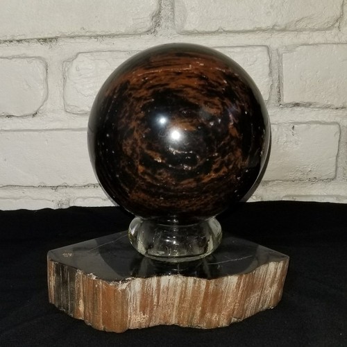 Petrified Wood Sphere Ball 5.5