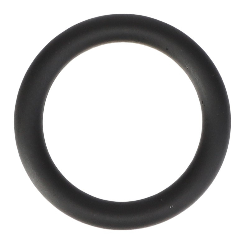 P/N 6244510M1 - O-Ring - Genuine OEM Part