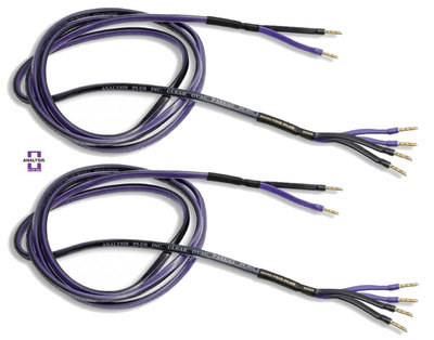 Analysis Plus Clear Oval Speaker Cable Bi-Wired Stereo Pair 4 ft