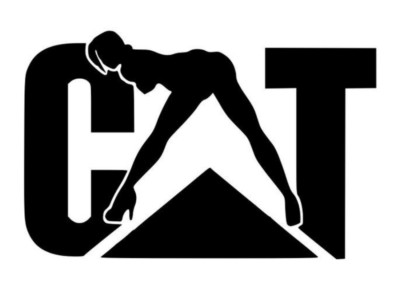 Funny CAT Construction Blue Collar Workers 5'' Bumper Sticker Decal