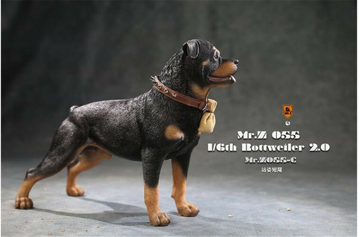 ⭐︎美品　Rottweiler KJ Mr.z 1:6 Scale Rottweiler Model Cute Pet Dog Animal Figure