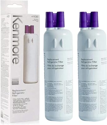 2 Pack Kenmore 9081 469081 46-9930 Refrigerator &Water Filter US Stock