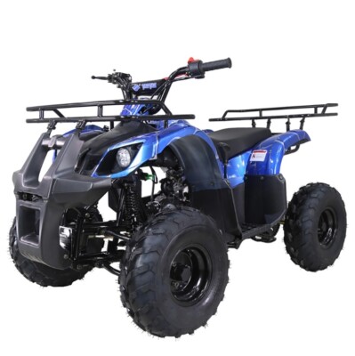 ATV 125cc Youth ATV TAOTAO 125D Utility Quad Kids 4 wheeler FREE SHIP 125CC ATV