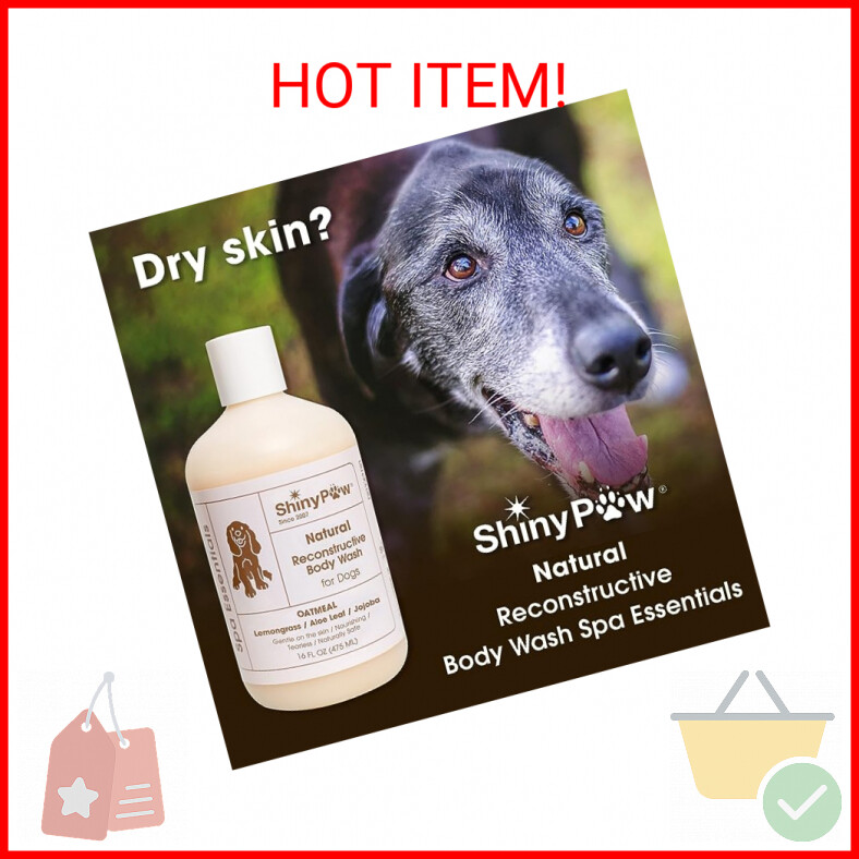 Oatmeal Shampoo for Dogs - Lemongrass Spa Essentials Body Wash - Tearless Dog Sh