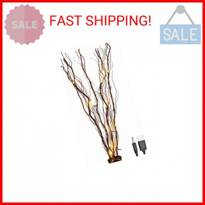 LIGHTSHARE Upgraded 36Inch 16LED Natural Willow Twig Lighted Branch for Home Dec
