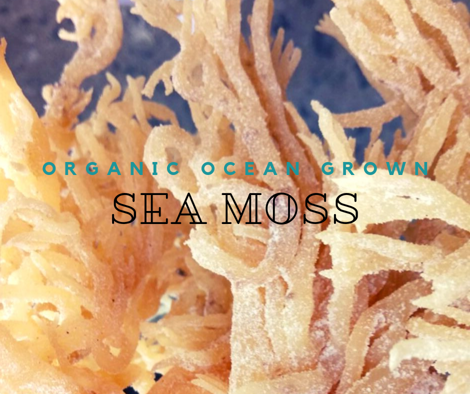 Rastarafi® Sea Moss Irish Moss (Bulk) | Raw Wildcrafted Seamoss Superfood