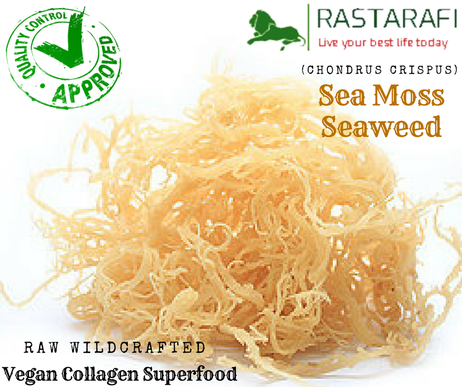 Rastarafi® Sea Moss Irish Moss (Bulk) | Raw Wildcrafted Seamoss Superfood