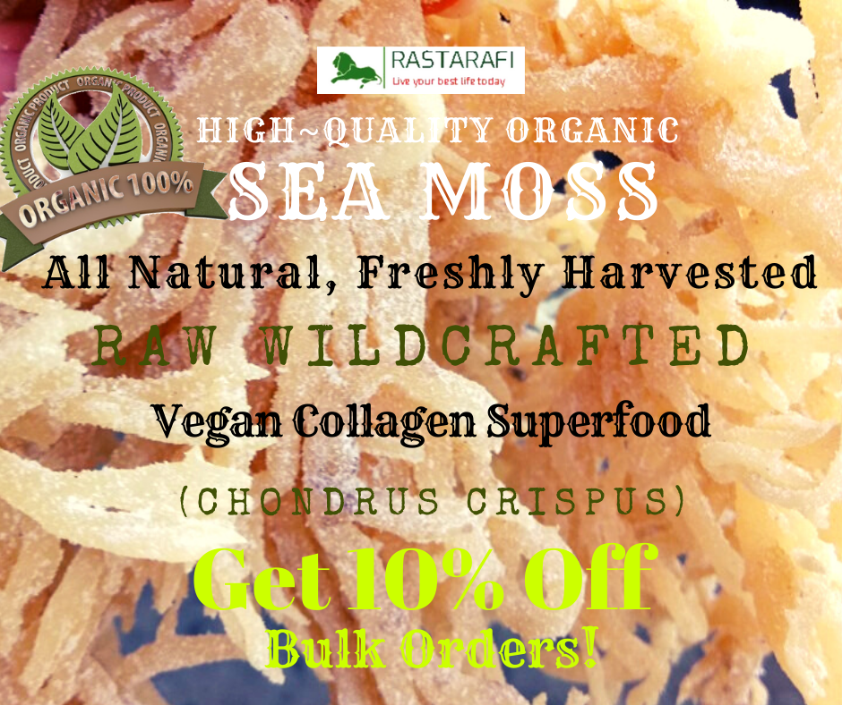 Rastarafi® Sea Moss Irish Moss (Bulk) | Raw Wildcrafted Seamoss Superfood