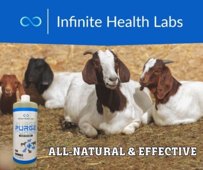 Purge - Natural wormer / coccidia tx for cattle, goats, sheep, pigs, & dogs  8oz